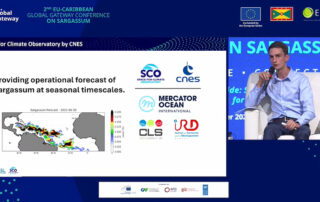 Turning the Tide on Sargassum at the EU–Caribbean Global Gateway Conference on Sargassum