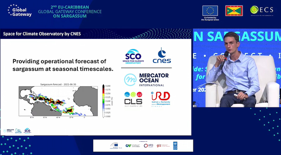 Turning the Tide on Sargassum at the EU–Caribbean Global Gateway Conference on Sargassum